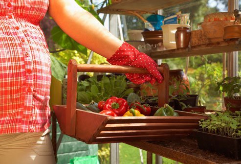 Live a nontoxic lifestyle to give yourself a healthy start to your pregnancy.