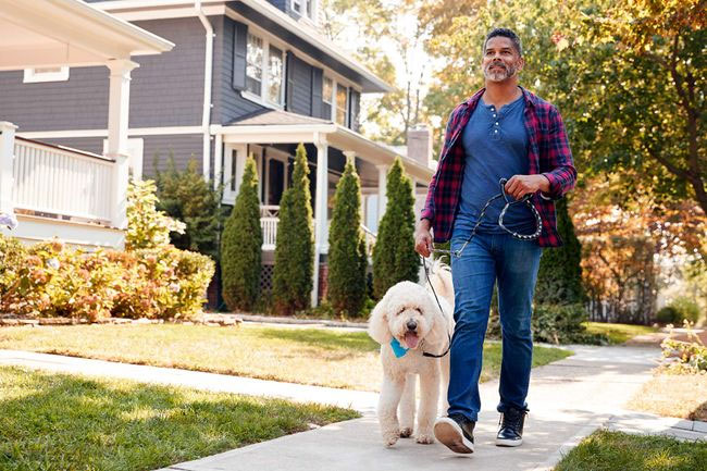 You are more likely to be physically active if you own a dog than if you don't.
