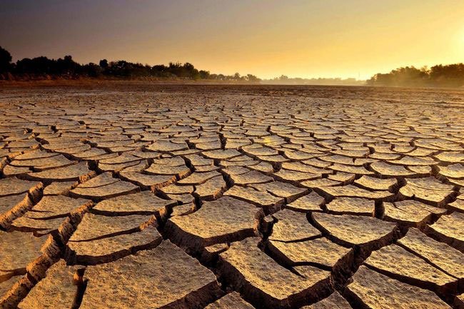 Drinking adequate water helps digestion and eases and wards off constipation.