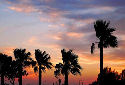 McAllen, Texas.