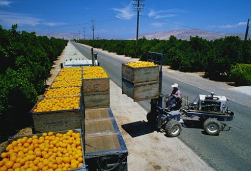 Photo of Visalia, CA.
