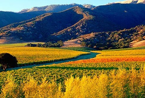 Photo of Salinas, California.