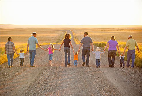 Your health, personality, and your looks are based on many things, including your genes.