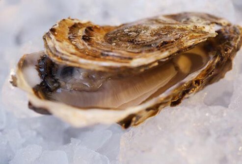 If you like to dine on shellfish, watch out for this bacterial pathogen.