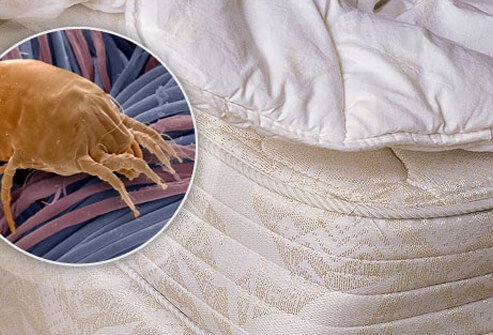 Allergies interfere with the ability to get enough sleep.