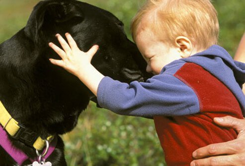 A toddler hugging a dog