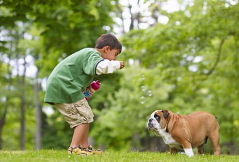A boy blowing bubbles and playing with his dog