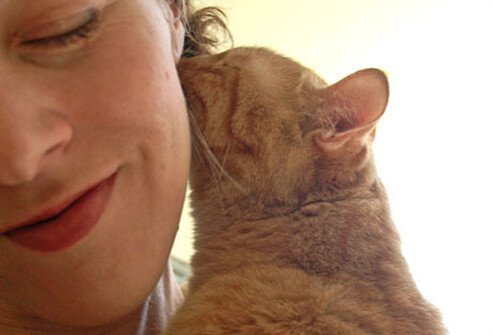 A cat kissing a woman's face