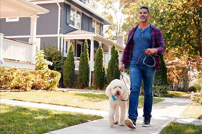 If you own a dog, you will walk them and that helps lower your risk of heart disease, diabetes, and obesity.