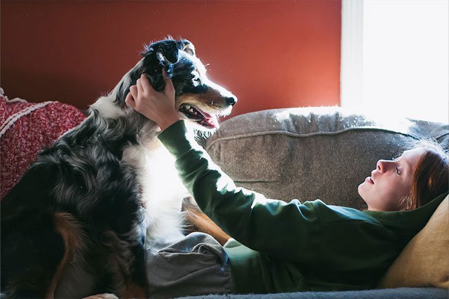 Owning pets can help alleviate depression.