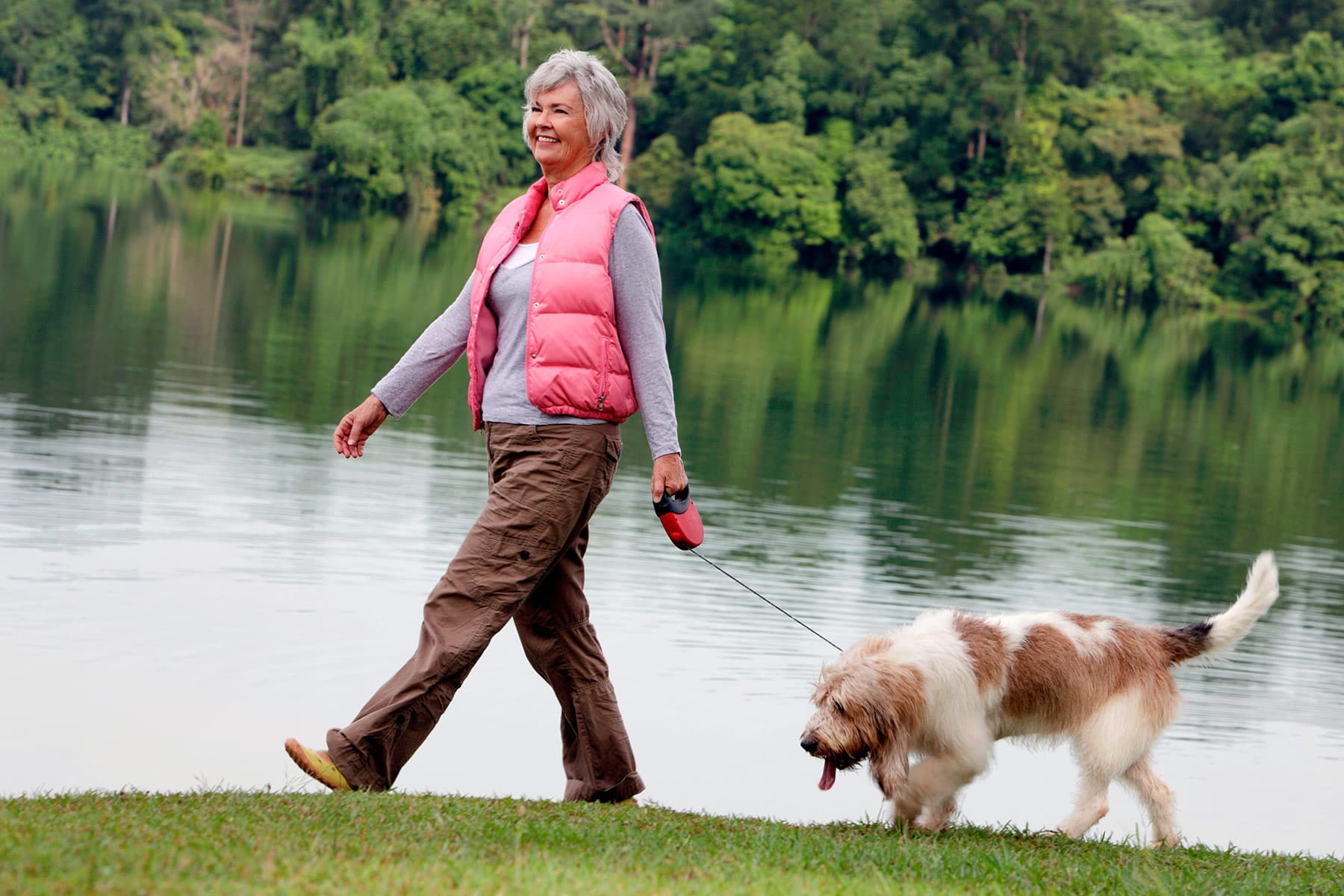 Walking a dog will help you get exercise.