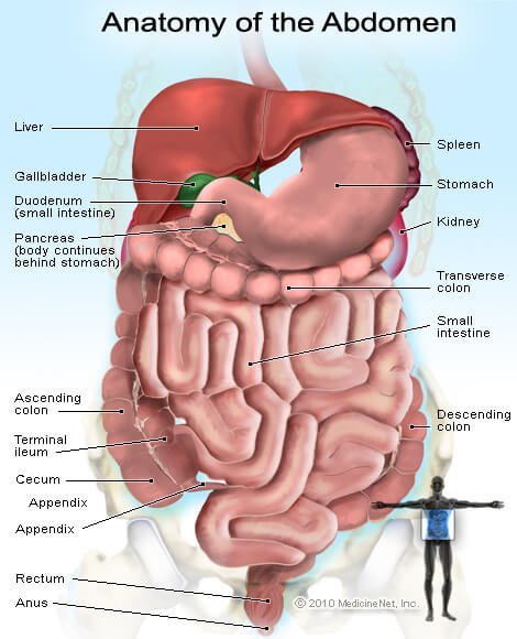 Abdominal Pain