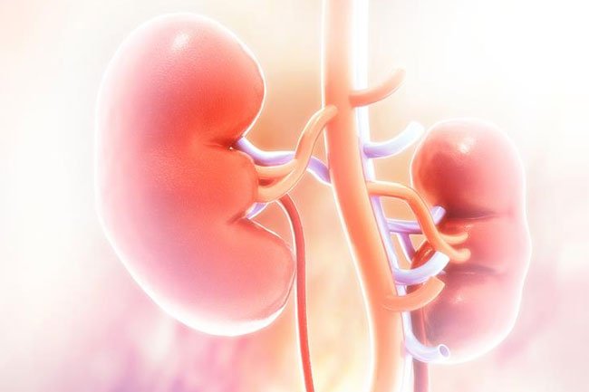 Less common causes of abdominal pain include kidney infections, kidney stones, hepatitis, and gallstones.