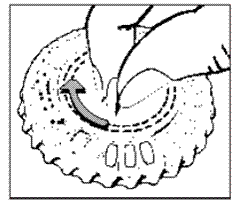 Activella - Illustration