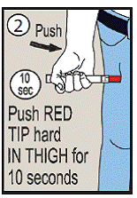 Press down hard and hold firmly against the
thigh for approximately 10 seconds to deliver the medicine - Illustration