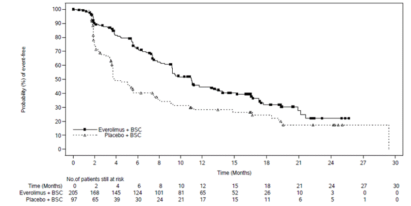 Kaplan-Meier Curves for Progression-Free Survival in NET of GI or Lung Origin in RADIANT-4 - Illustration