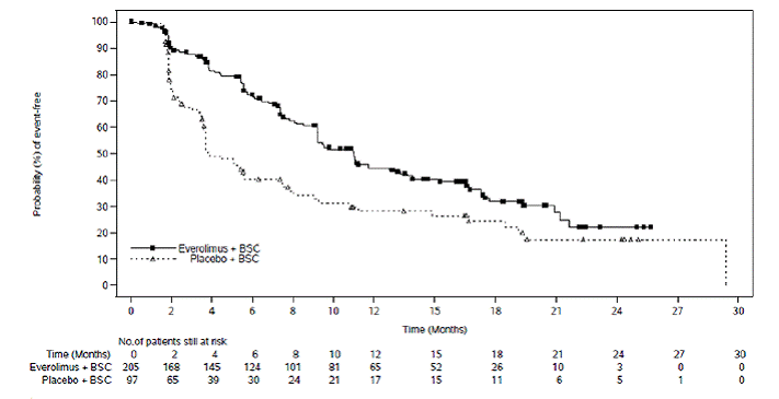 Kaplan-Meier Curves for Progression-Free Survival in NET of GI or Lung Origin in RADIANT-4 - Illustration