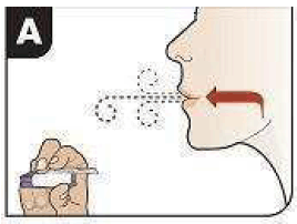 Position Inhaler in Mouth - Illustration