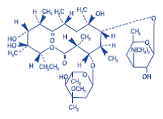 Erythromycin - Structural Formula Illustration