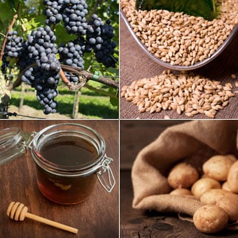 Shown are examples of sources used to make alcohol, such as grapes for wine, malted barley for beer, molasses for rum, and potatoes for vodka.