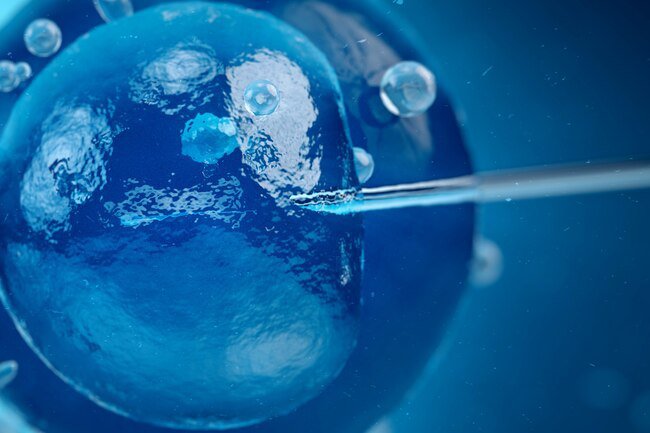 Alcohol consumption decreases the risk of conception with IVF and GIFT and makes it less likely to have a successful pregnancy.