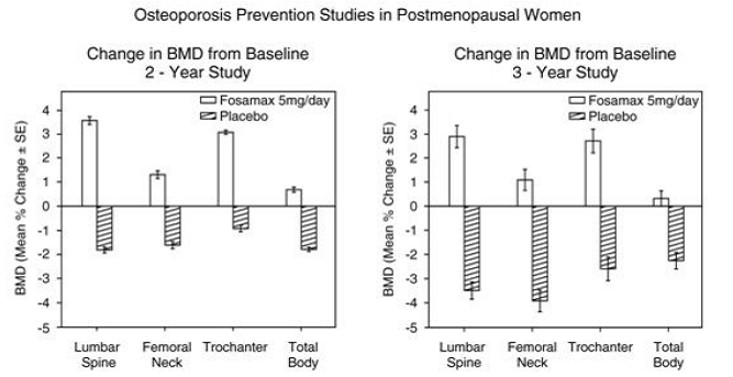 Osteoporosis Prevention Studies in
PostmenopausalÂ  Women - Illustration
