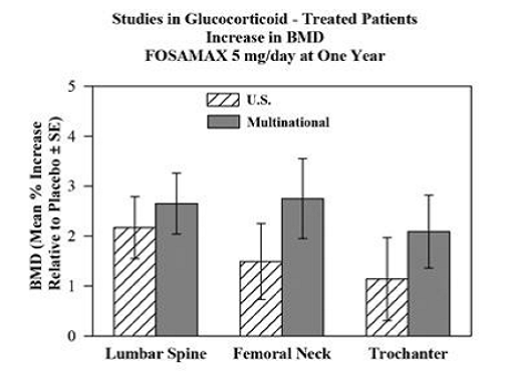 Studies in Glucocorticoid- Treated Patients
Increase in BMD FOSAMAX 5 mg/day at One Year - Illustration