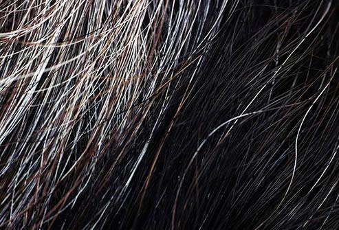 Hair that is silver or gray feels coarse compared to hair that is a natural color.