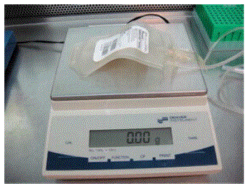Weigh the empty transfer pack to determine the tare weight of the bag - Illustration