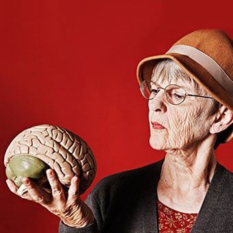 A senior woman examines a model brain.