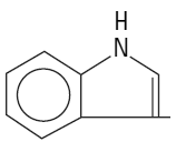 Tryptophan Structural Formula Illustration