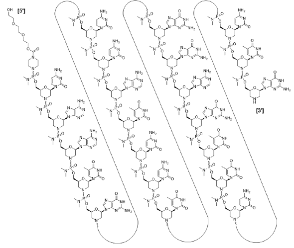 AMONDYS 45 (casimersen) injection, for intravenous use Structural Formula - Illustration