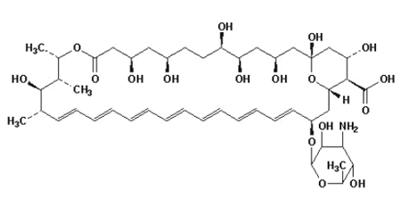  FUNGIZONE (amphotericin b) Structural Formula Illustration