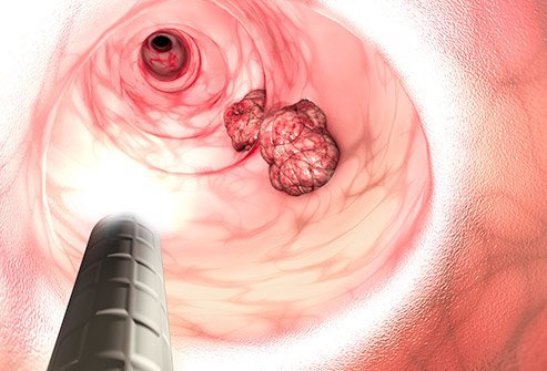 The cells in the body grow, reproduce, and die under the controlled conditions.