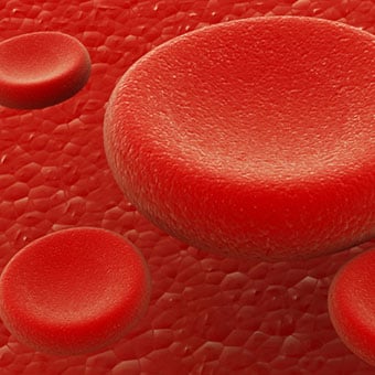 Illustration of human red blood cells.