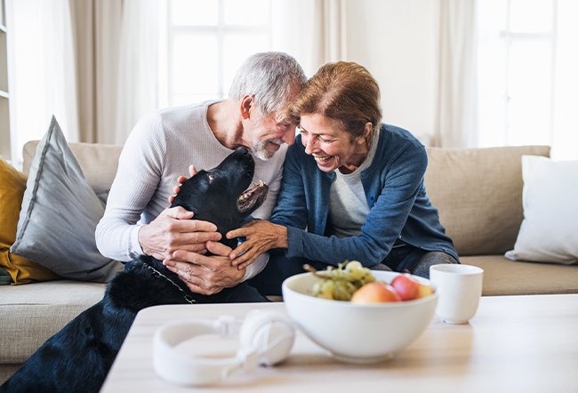 what causes sudden allergies in adults