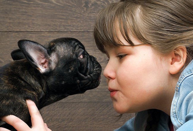 how can you tell if a dog has allergies