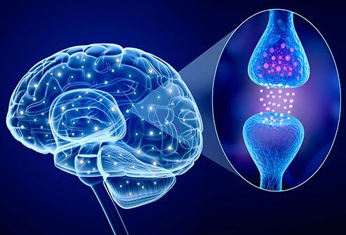 Stress starts as a signal in your brain.