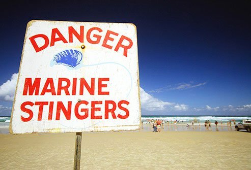 ACV is an effective vinegar-based home remedy against jellyfish stings.