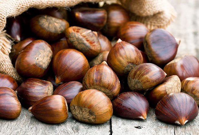 chestnut health benefits