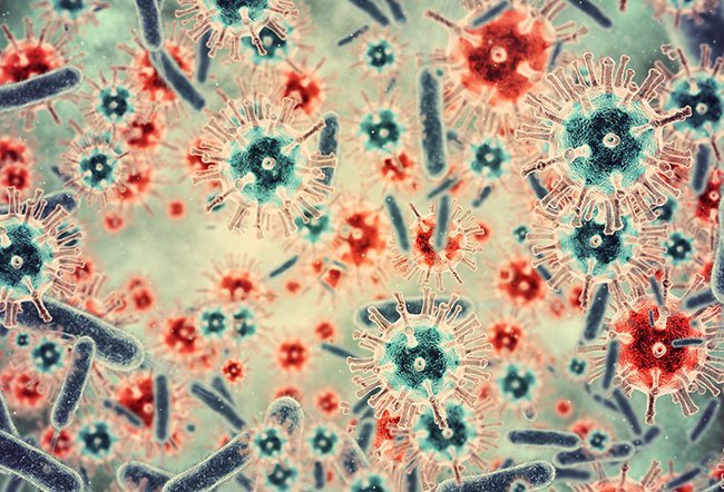 Viruses are germs that can cause diseases in humans, plants, and animals.