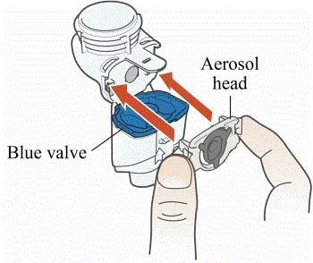 Insert the Aerosol Head - Illustration