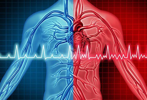Atrial fibrillation (AFib or AF) may be caused due to various reasons. 