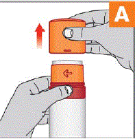 Squeeze the red indents and lift the orange lid - Illustration