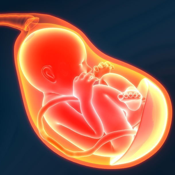 Pregnancy Labor