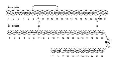 BASAGLAR (insulin glargine) Structural Formula - Illustration