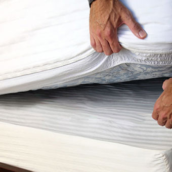 A man checks his box springs and under his mattress for bed bugs.