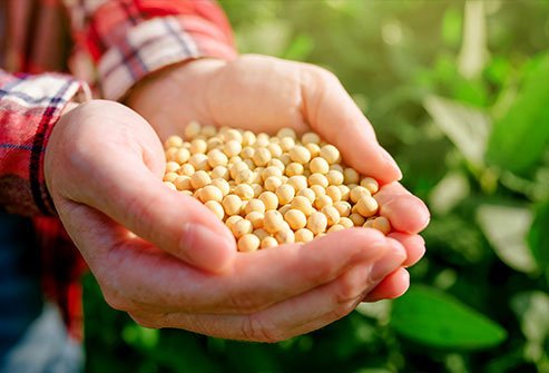 Plant sterols in beans lower LDL cholesterol.