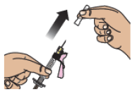 Hold the syringe from the syringe body - Illustration