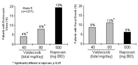 Incidence of Endos copic Gas troduodenal Ulcers and Renal Events in the High-dos e
Safety Study - Illustration